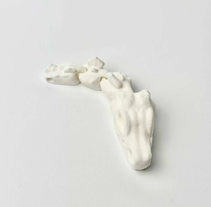 Czaszka T-Rex - Biały