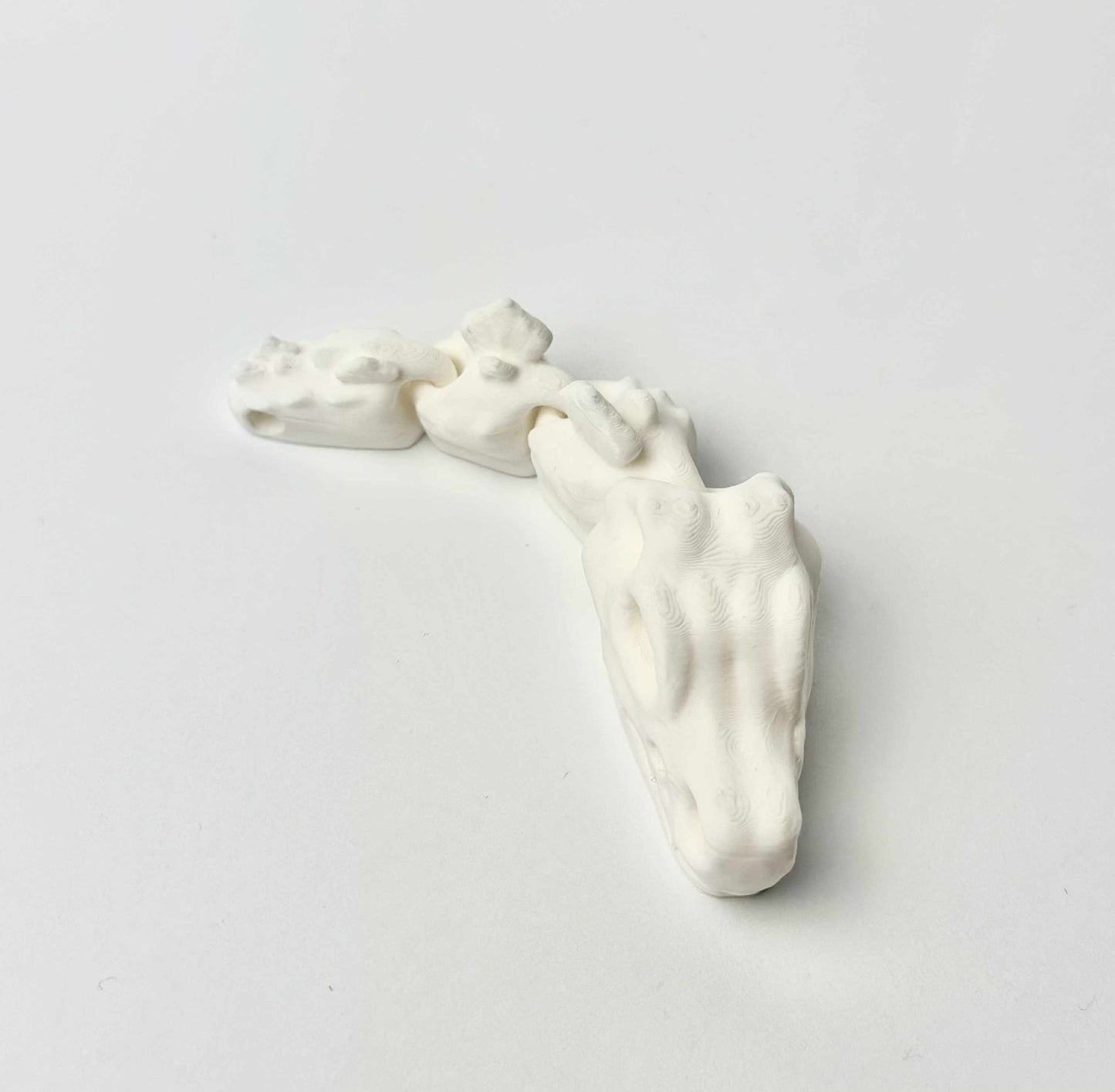 Czaszka T-Rex - Biały