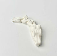 Czaszka T-Rex - Biały