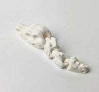 Czaszka T-Rex - Biały