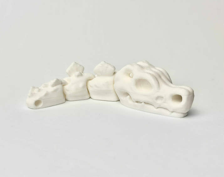 Czaszka T-Rex - Biały