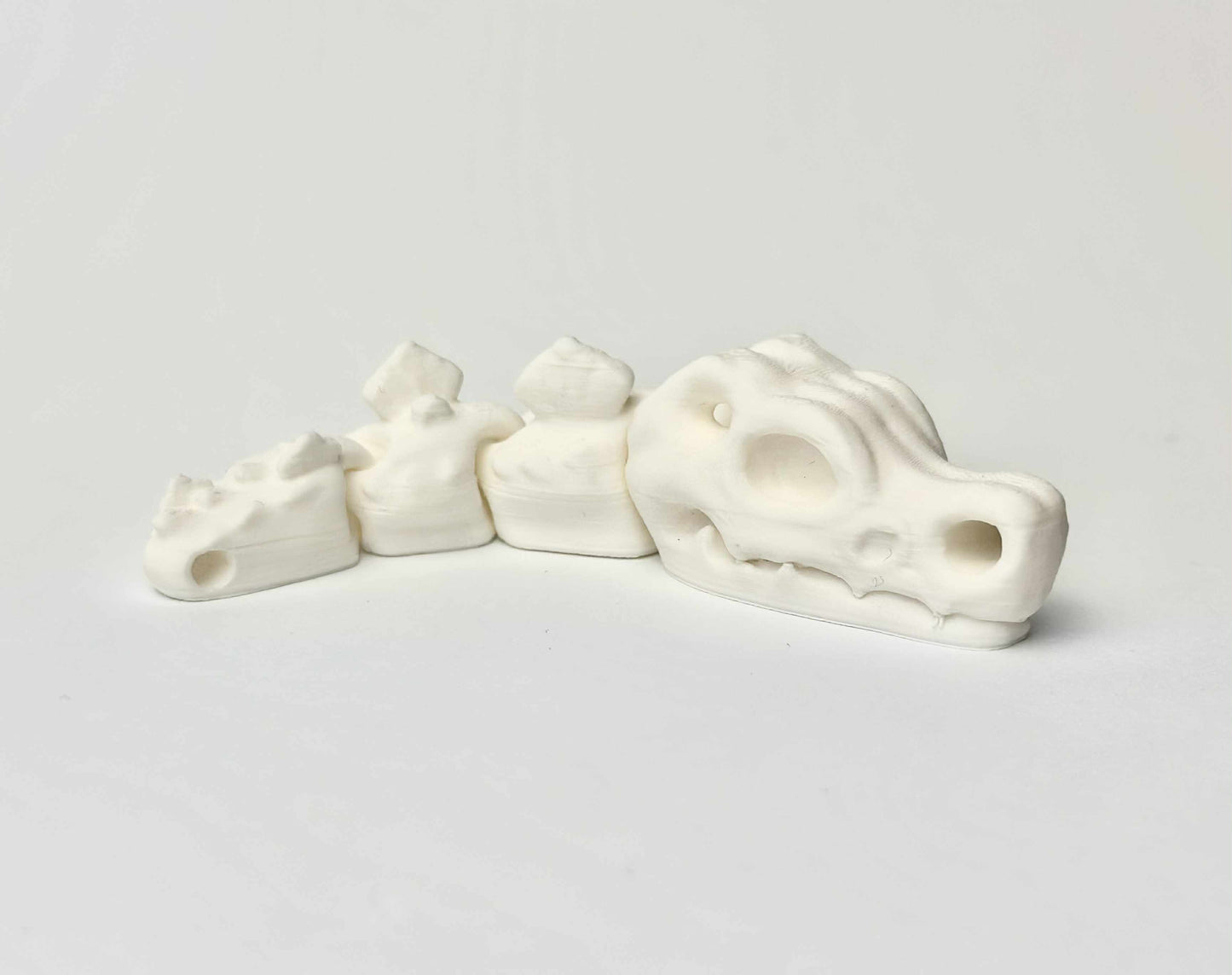 Czaszka T-Rex - Biały