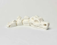 Czaszka T-Rex - Biały